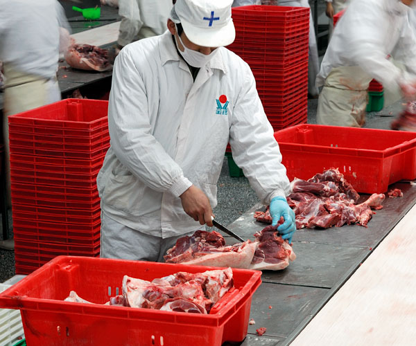 8868在线官网登录入口