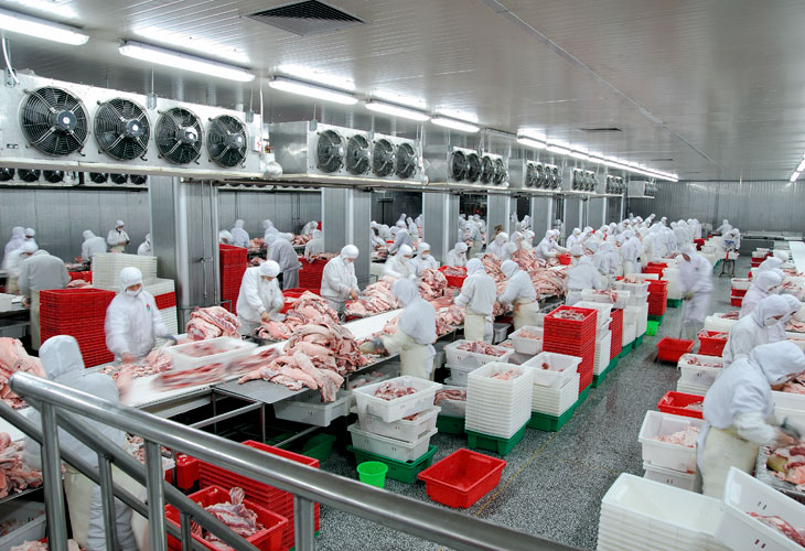 8868在线官网登录入口