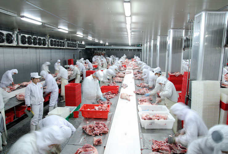 8868在线官网登录入口