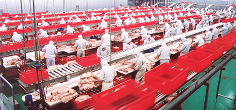 8868在线官网登录入口