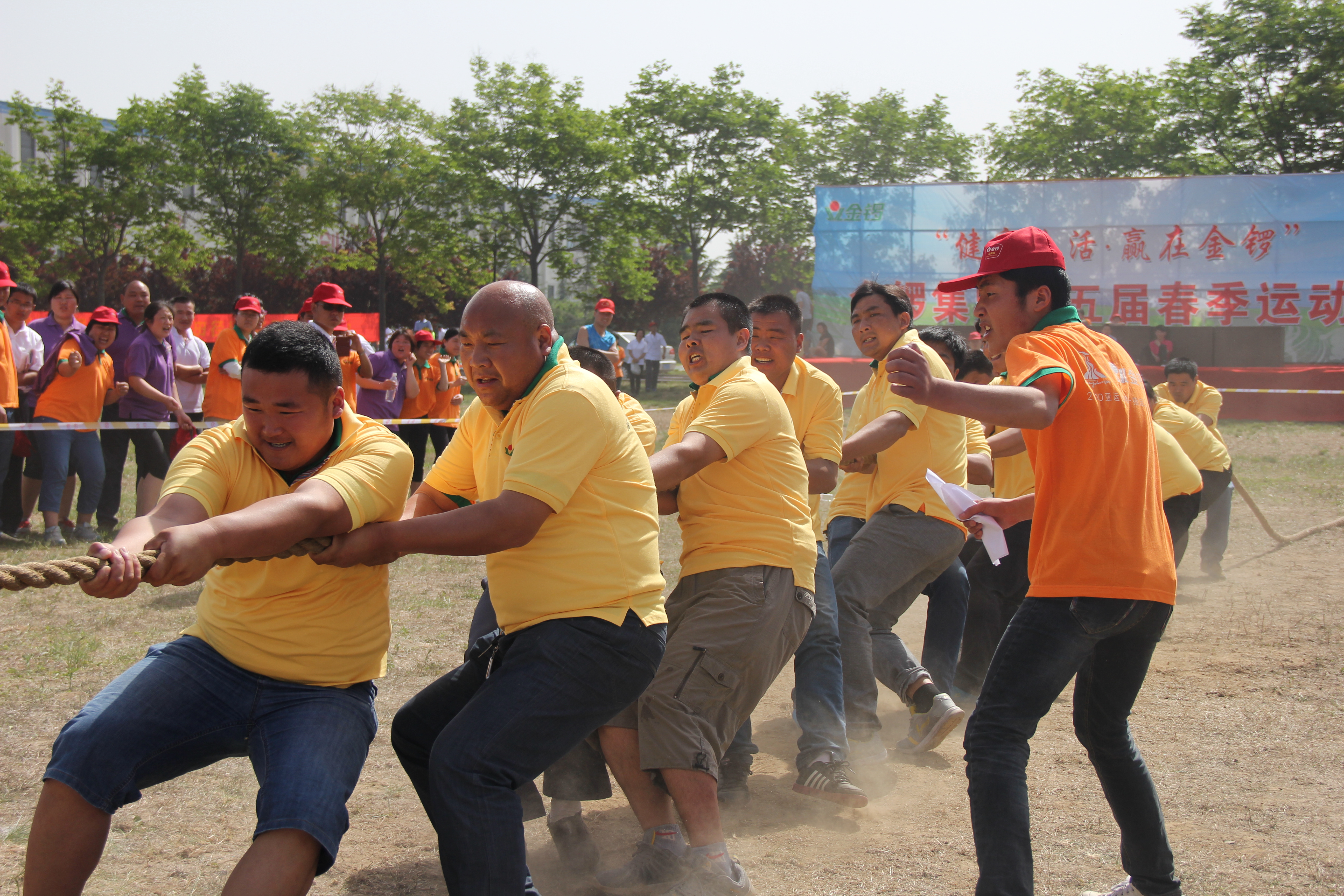 第五届运动会之拔河比赛