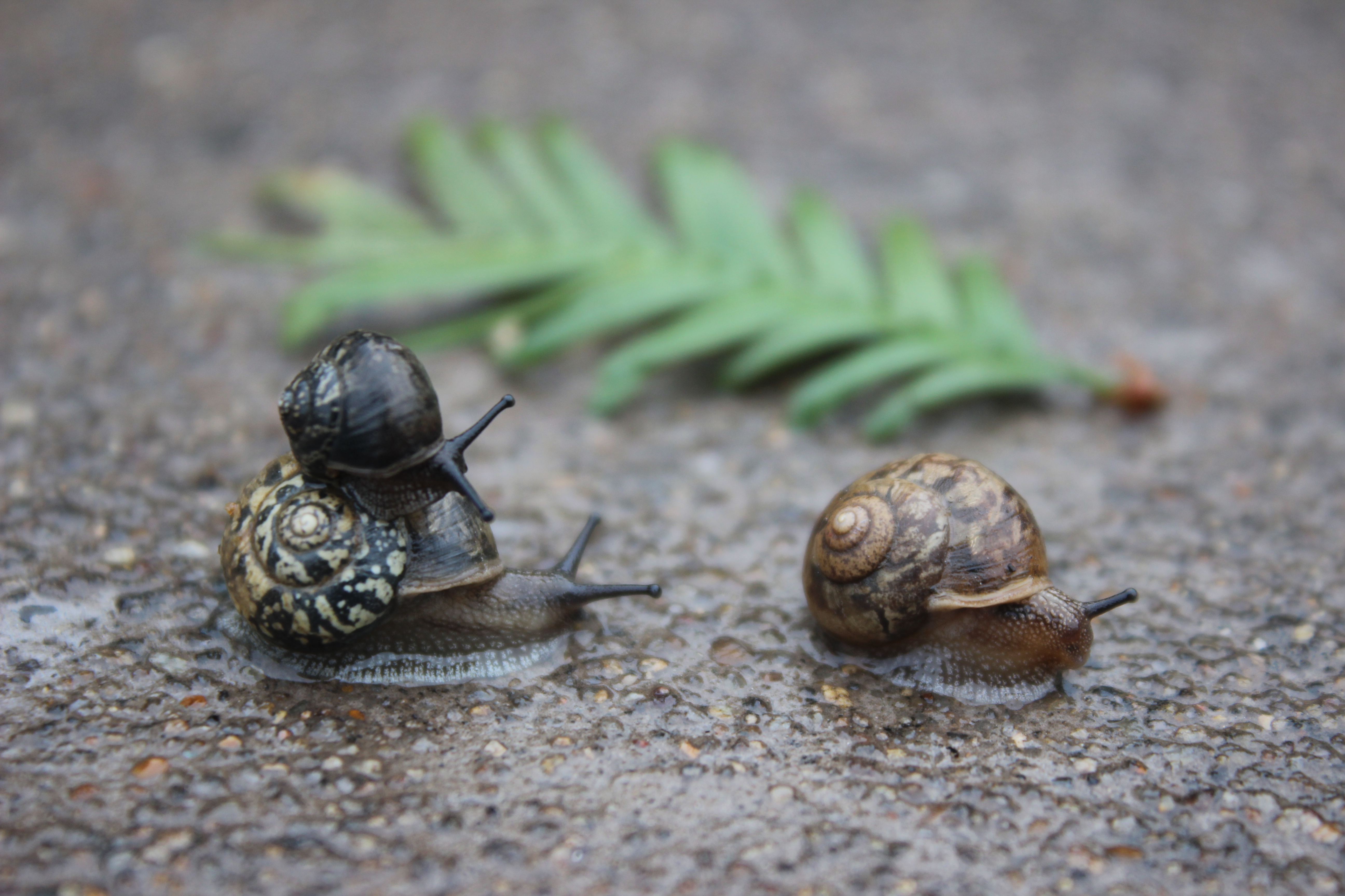 【摄影】爸爸，去哪？